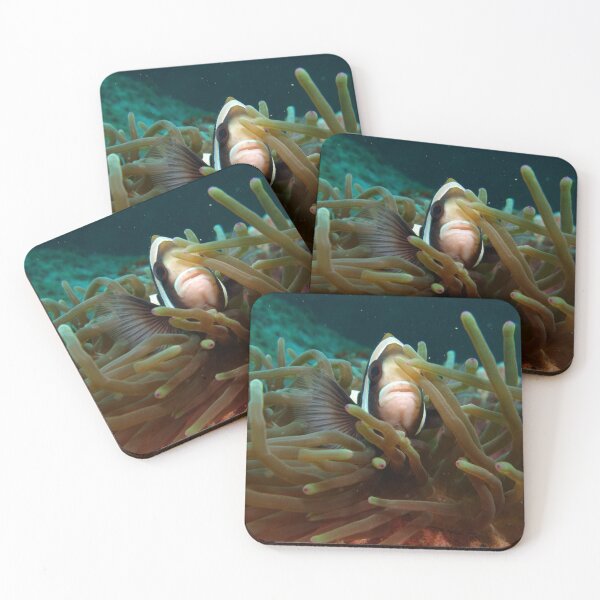 Item preview, Clownfish Clowning Around designed and sold by Adnoartina.
