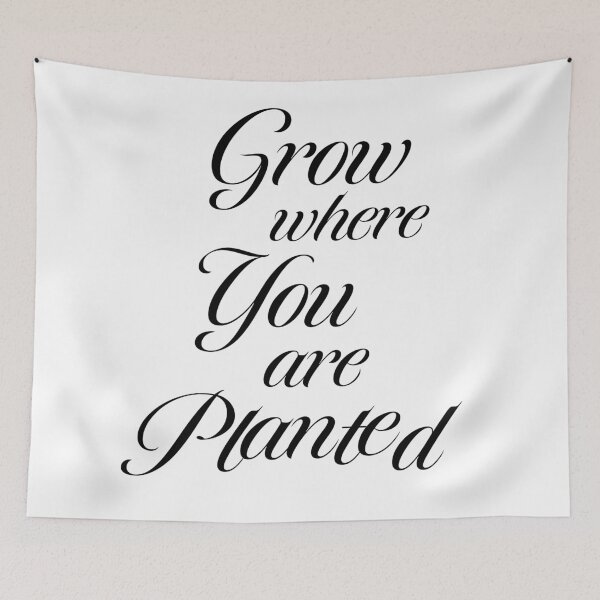 Item preview, Grow where you are planted sticker in black text designed and sold by StickersbyVW.