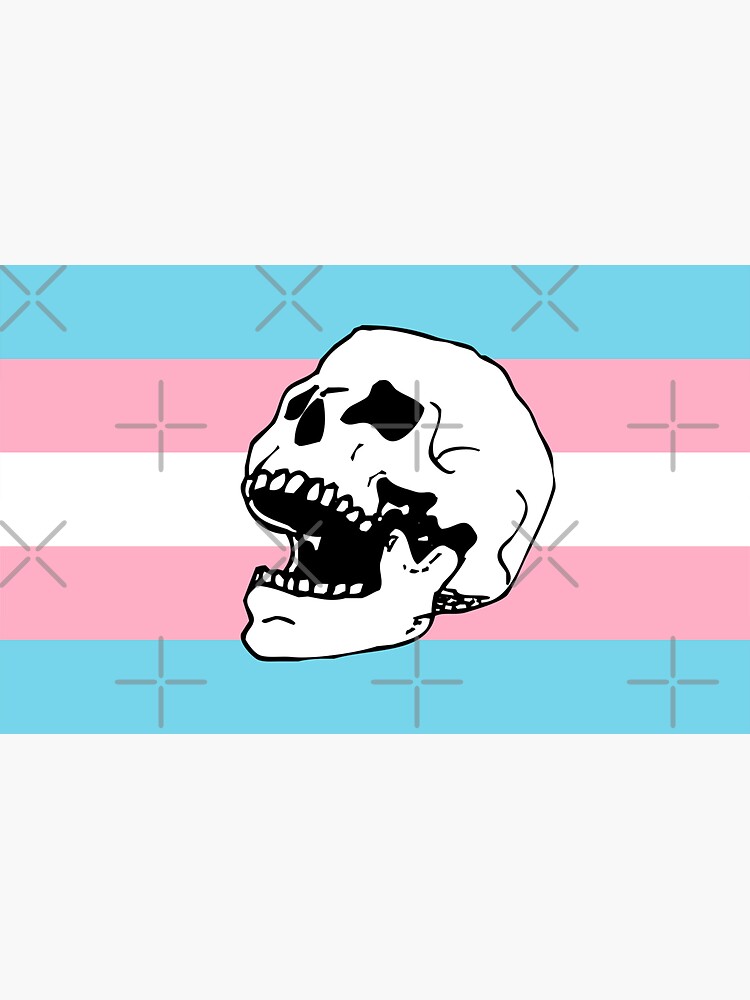 trans pride flag skull by craftordiy