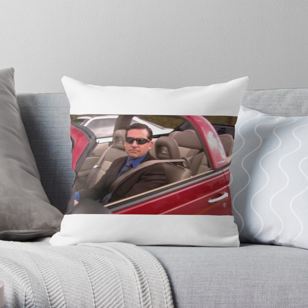 https://ih1.redbubble.net/image.2180982151.3709/throwpillow,small,1000x-bg,f8f8f8-c,0,200,1000,1000.jpg