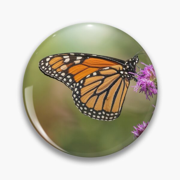 Item preview, Fall Monarch 2016-10 designed and sold by Thomasyoung.