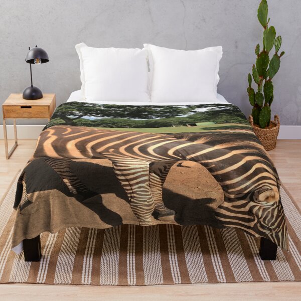 Item preview, Zebra Animal Grazing at Wild Exotic Animal Safari Park Pine Mountain Georgia Forest Background designed and sold by NadeenInspires.