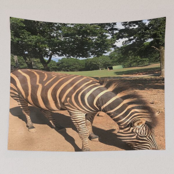 Item preview, Zebra Animal Grazing at Wild Exotic Animal Safari Park Pine Mountain Georgia Forest Background designed and sold by NadeenInspires.