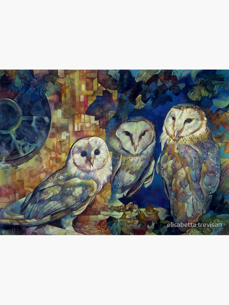 barn owls by betta