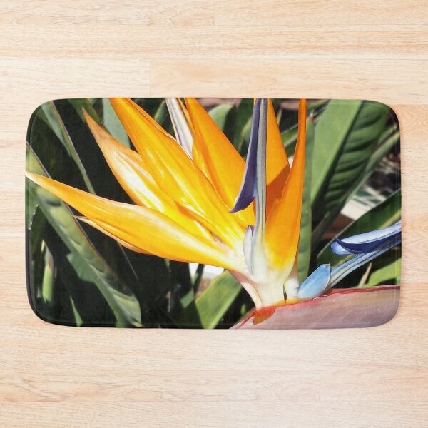 Item preview, Bird of Paradise (Photography:Unfiltered) designed and sold by Lori Ackley.