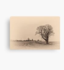 on old tree - mystic landscape Canvas Print