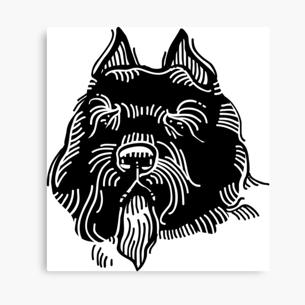 Wandbilder Bouvier Des Flandres Redbubble