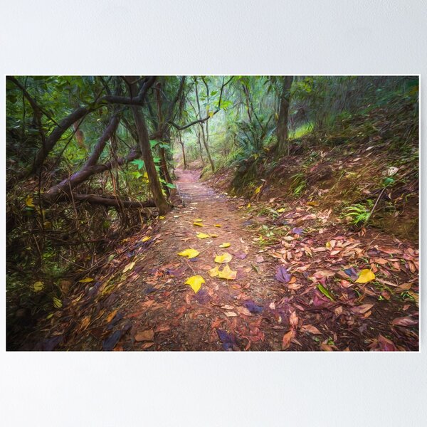 Item preview, Autumn Bushwalk designed and sold by Carole Pallier.