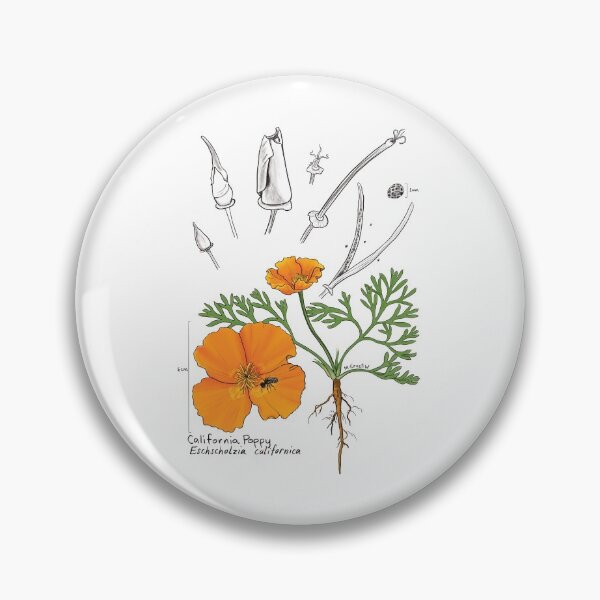 Item preview, California Poppy Botanical designed and sold by mernstw.