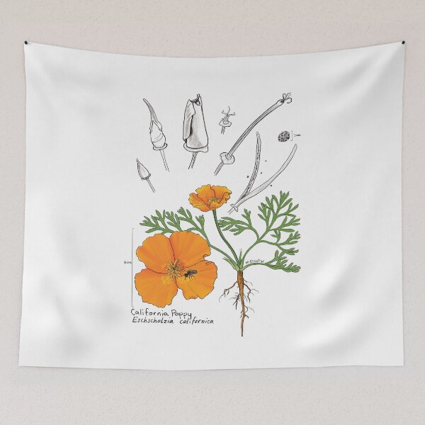 Item preview, California Poppy Botanical designed and sold by mernstw.