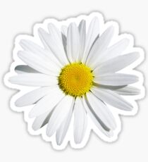 White flower Sticker