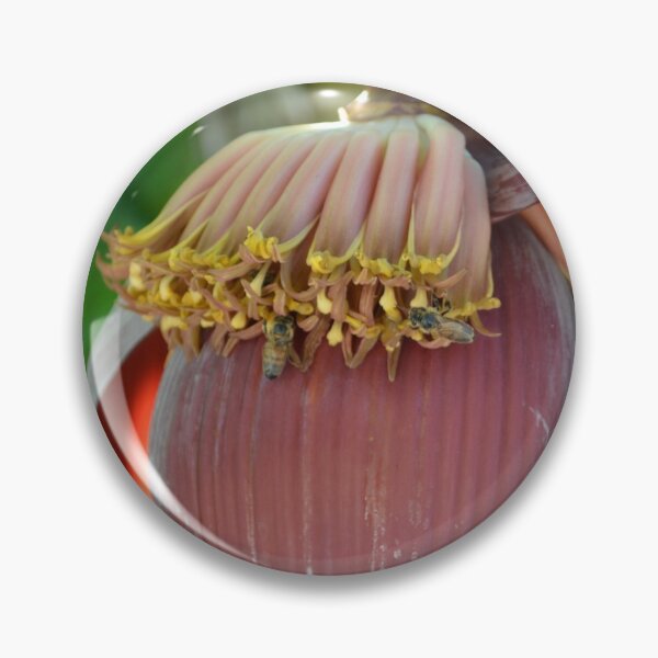 Artikelvorschau, Bienen auf Blumen auf einer Zwiebel entworfen und verkauft von Ali F.