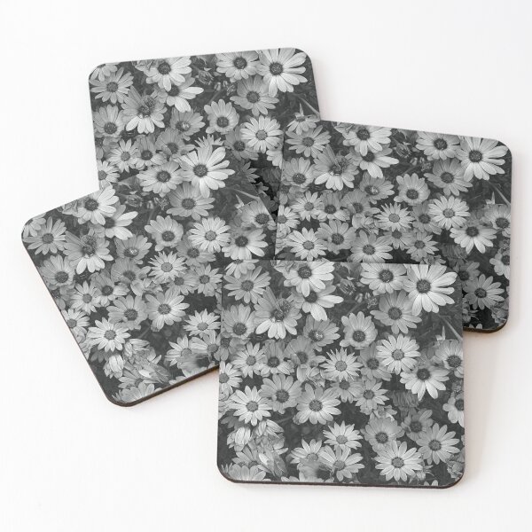 Item preview, African Daisy Zion BW  designed and sold by Joy Watson - Natural Light Photography .
