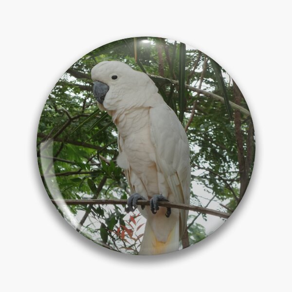Item preview, Cacatúa blanca en la naturaleza designed and sold by ColourfulDae.