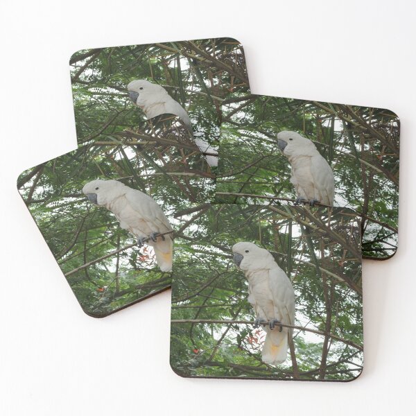 Item preview, White Cockatoo at the nature designed and sold by ColourfulDae.