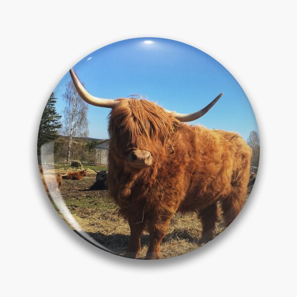 Item preview, Scottish Highland Cattle Cow 2389 designed and sold by SaarelaHighland.