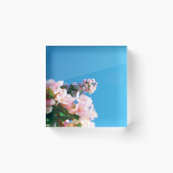 Item preview, Flower Focus designed and sold by OriginCaptures.