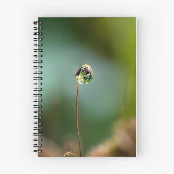 Item preview,  Morning raindrop designed and sold by Cornishinoz.