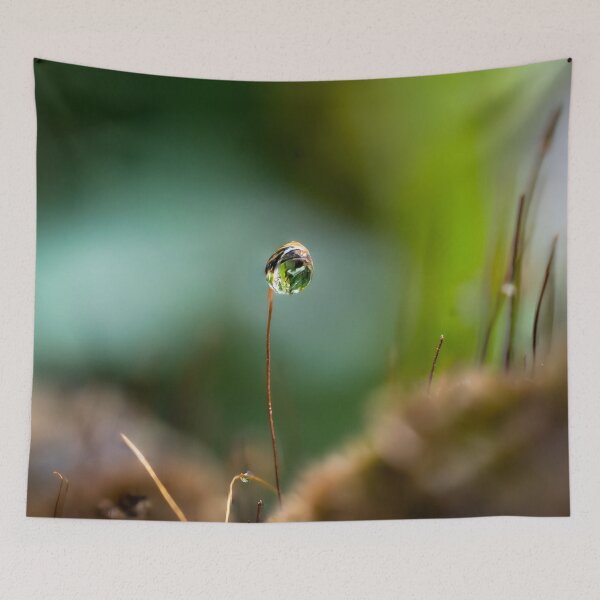 Item preview,  Morning raindrop designed and sold by Cornishinoz.