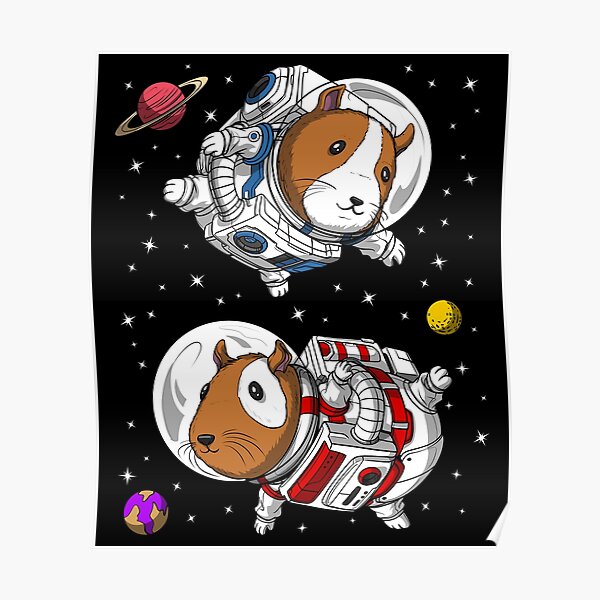 space for guinea pigs