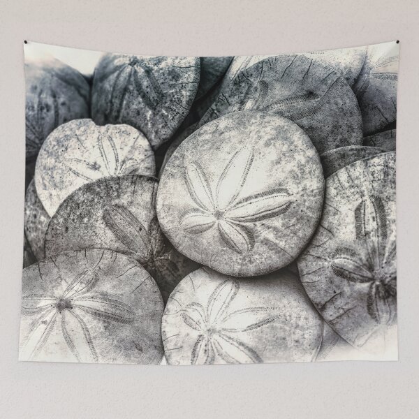 Item preview, Dollars designed and sold by Steve Walser.