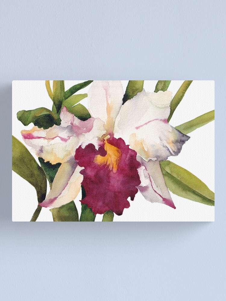 Cattleya | Canvas Print