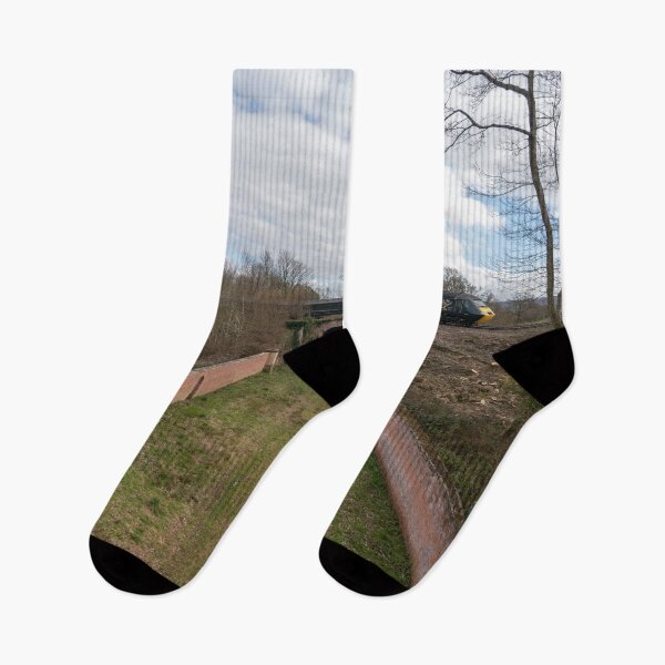 Item preview,  Nynehead Court HST designed and sold by hawkie.