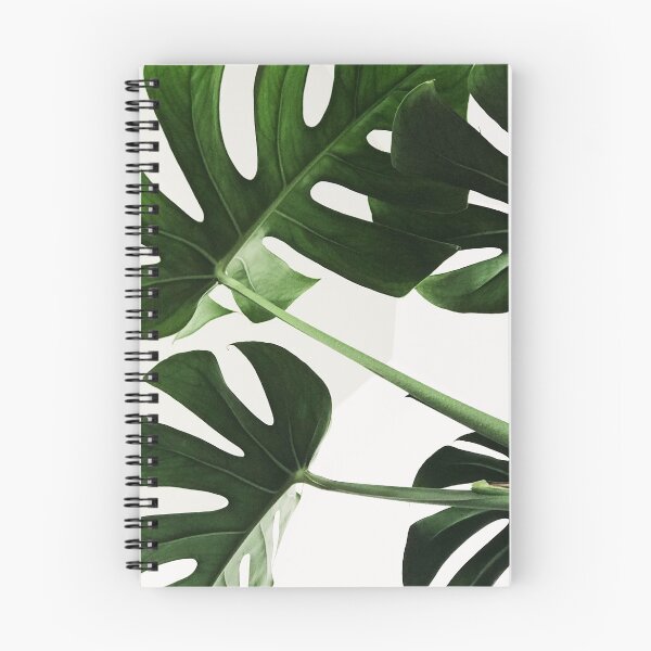 Item preview, La feuille de monstera designed and sold by RoseAesthetic.