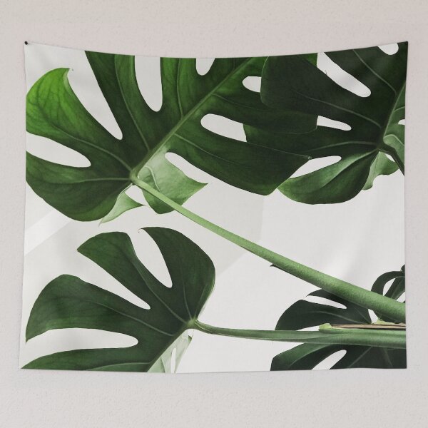 Item preview, La feuille de monstera designed and sold by RoseAesthetic.