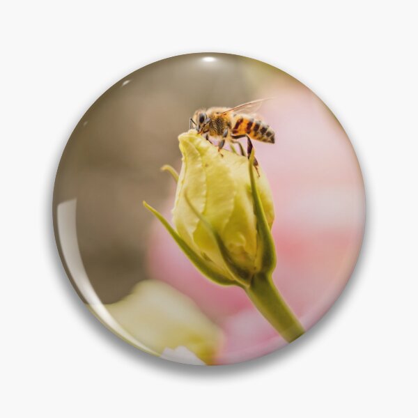 Item preview, Beautiful bee photography - bee pollinating designed and sold by mikelcreatives.