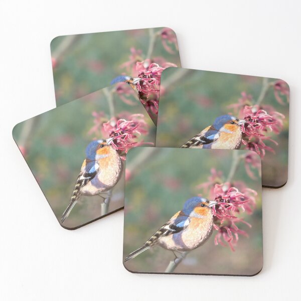 Item preview, Chaffinch on Witch Hazel Tree designed and sold by Alisonchambers2.