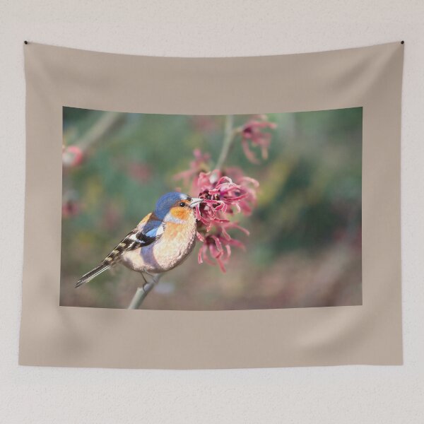 Item preview, Chaffinch on Witch Hazel Tree designed and sold by Alisonchambers2.