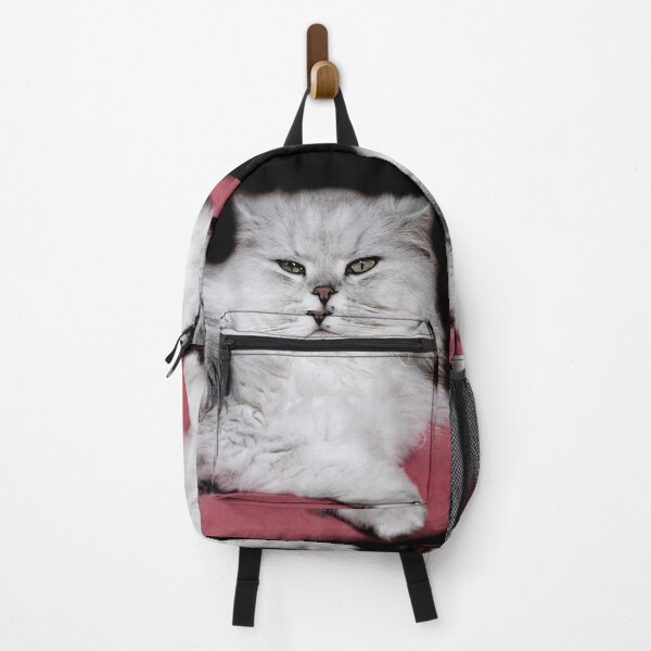 Item preview, r2753/ 4 " Choupette " avec le Studio Portable Okaio et 3 (bal) flahs Okaio - Les Chats du temps de l'Argentique - Cats from the time of the film " (h) Olavia-Olao Okaio Créations designed and sold by o.okaïo.