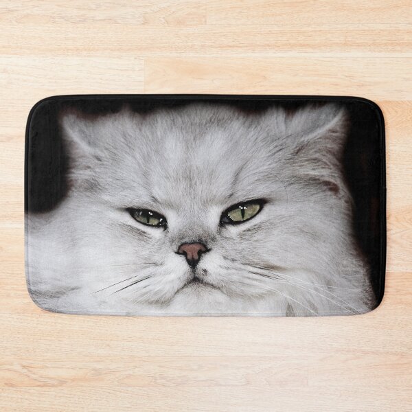 Item preview, r2753/ 4 "  Choupette " avec le Studio Portable Okaio et 3 (bal) flahs Okaio  - Les Chats du temps de l'Argentique - Cats from the time of the film "  (h) Olavia-Olao Okaio Créations designed and sold by o.okaïo.