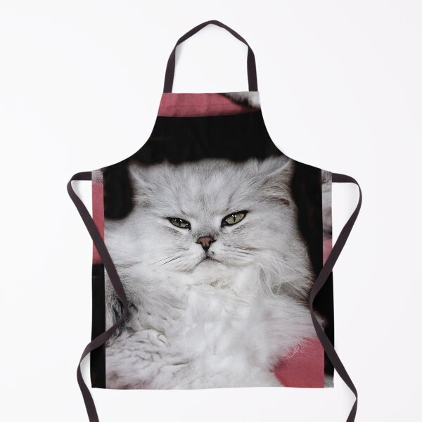 Item preview, r2753/ 4 " Choupette " avec le Studio Portable Okaio et 3 (bal) flahs Okaio - Les Chats du temps de l'Argentique - Cats from the time of the film " (h) Olavia-Olao Okaio Créations designed and sold by o.okaïo.
