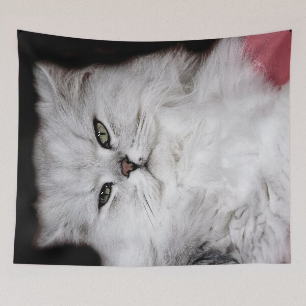 Item preview, r2753/ 4 "  Choupette " avec le Studio Portable Okaio et 3 (bal) flahs Okaio  - Les Chats du temps de l'Argentique - Cats from the time of the film "  (h) Olavia-Olao Okaio Créations designed and sold by o.okaïo.