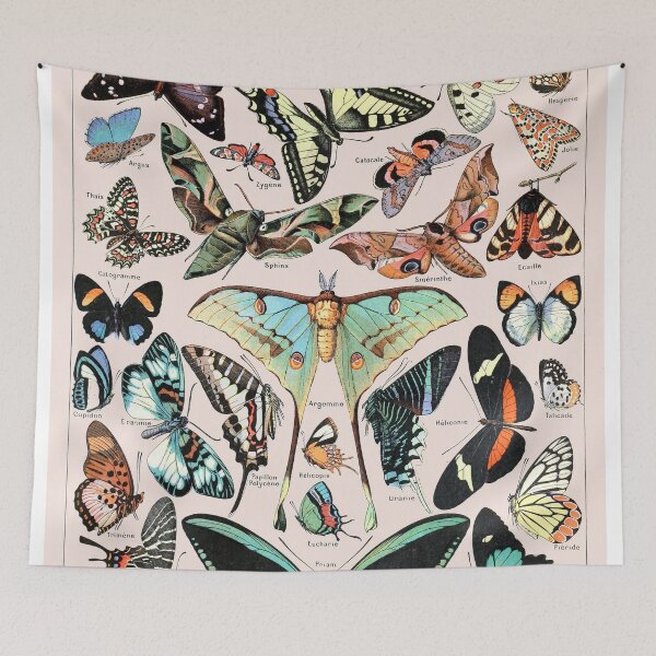 Item preview, Butterfly Chart designed and sold by AdamStCyr.