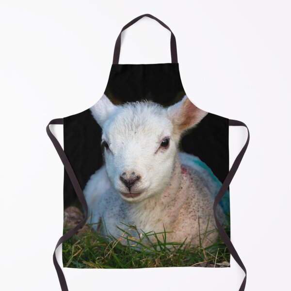 Item preview, Cordero de primavera 2 designed and sold by StephenPower.