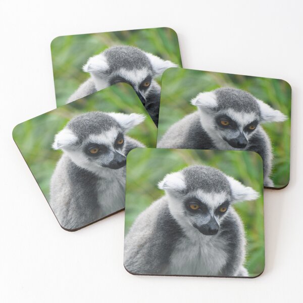 Item preview, Ring tailed lemur portrait designed and sold by cdkphotos.