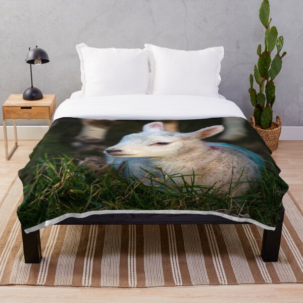 Item preview, Cordero de primavera 3 designed and sold by StephenPower.