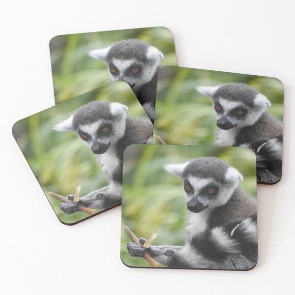 Item preview, Ring tailed lemur designed and sold by cdkphotos.