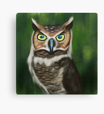 Owl Canvas Print