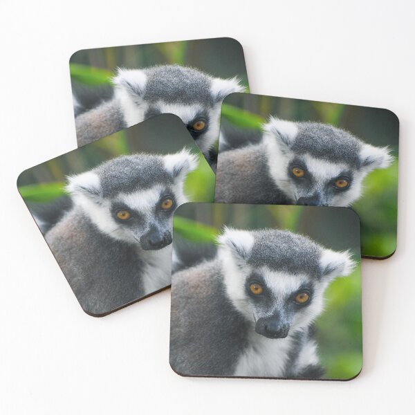 Item preview, Cute lemur portrait designed and sold by cdkphotos.