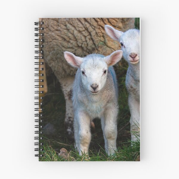 Item preview, Spring Lambs and Ewe 3 designed and sold by StephenPower.