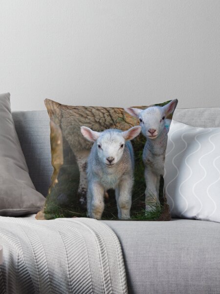 Irish Spring Pillows Cushions for Sale Redbubble