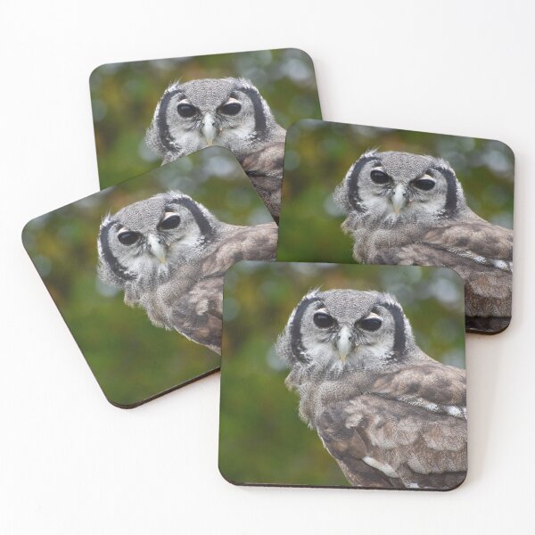 Item preview, Milky eagle owl designed and sold by cdkphotos.