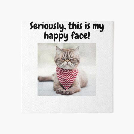 Funny Cat Meme Art Board Print For Sale By Cupcakelatte Redbubble