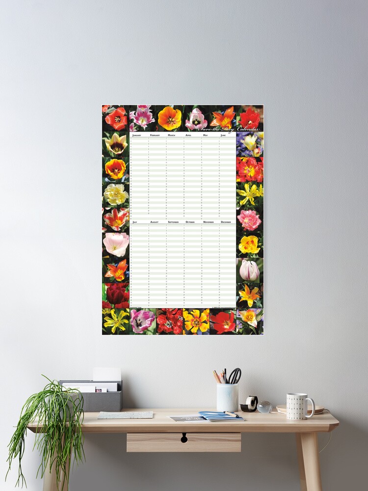 Thumbnail 1 of 3, Poster, Keukenhof Tulips - Perpetual Birthday Calendar Poster designed and sold by iConnection.