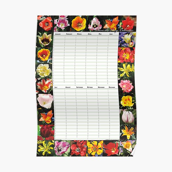 Keukenhof Tulips - Perpetual Birthday Calendar Poster Poster