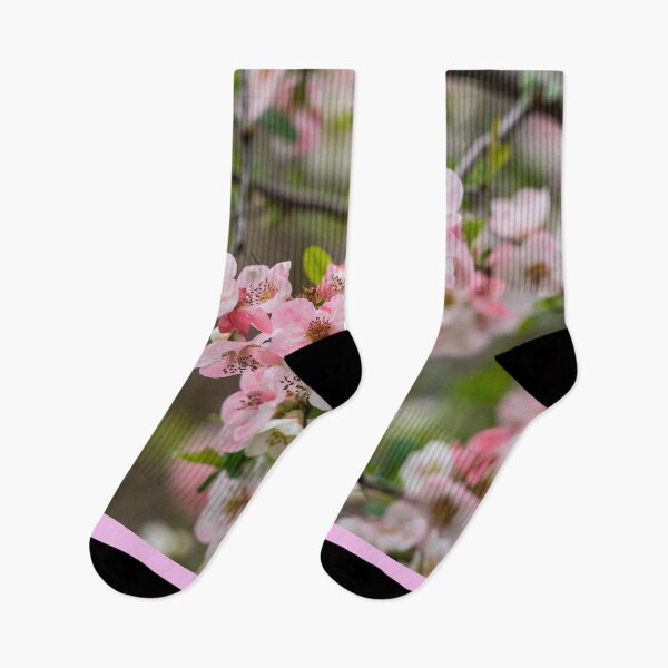 Item preview, Pink Flowering Quince Blooms designed and sold by mljdwhite.
